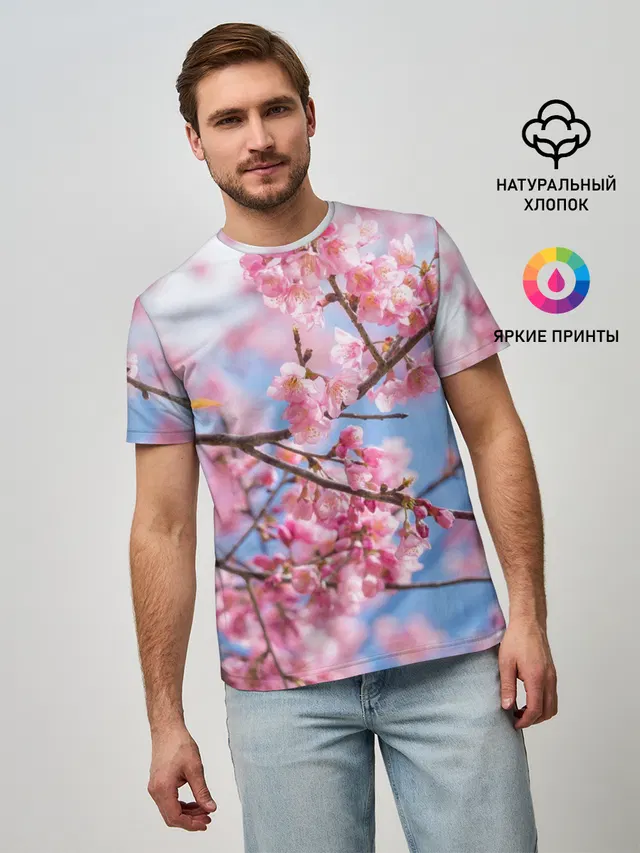Ветки Сакуры