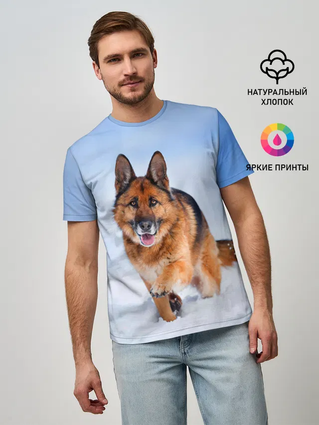Овчарка и снег