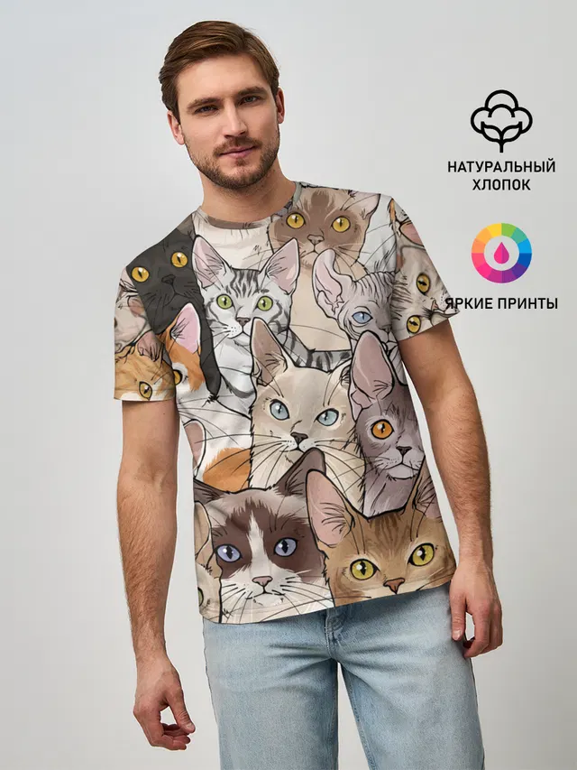Котики