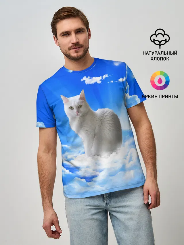 Кот в облаках