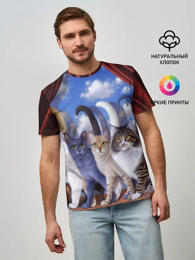 Коты