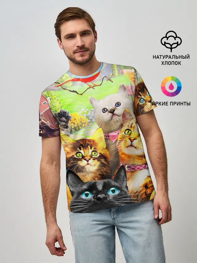 КОТЫ