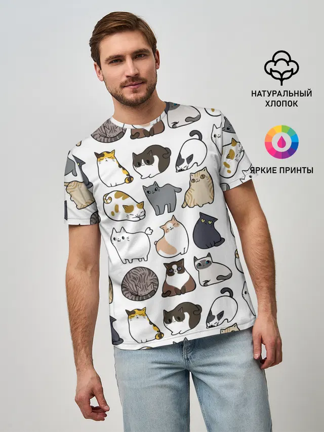 Котики
