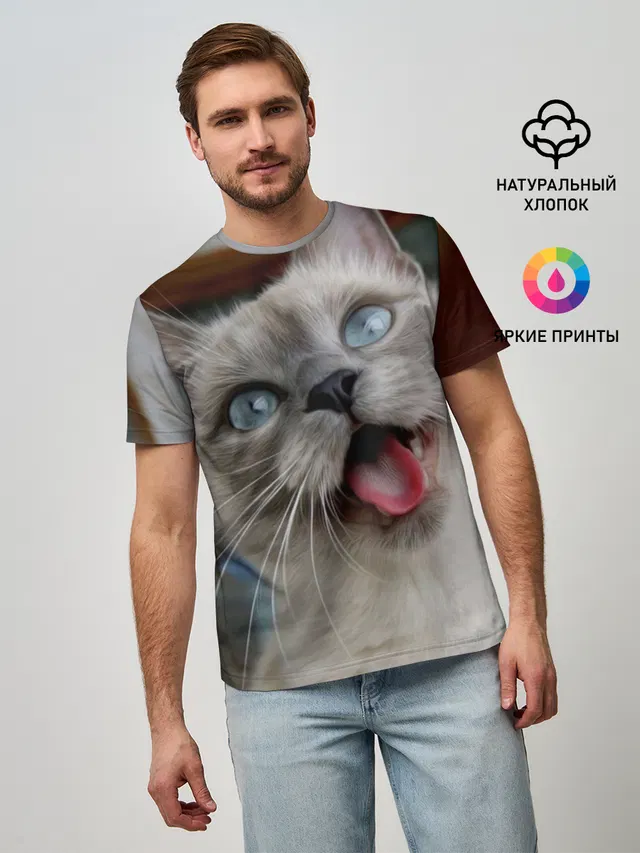 Сиамский котенок