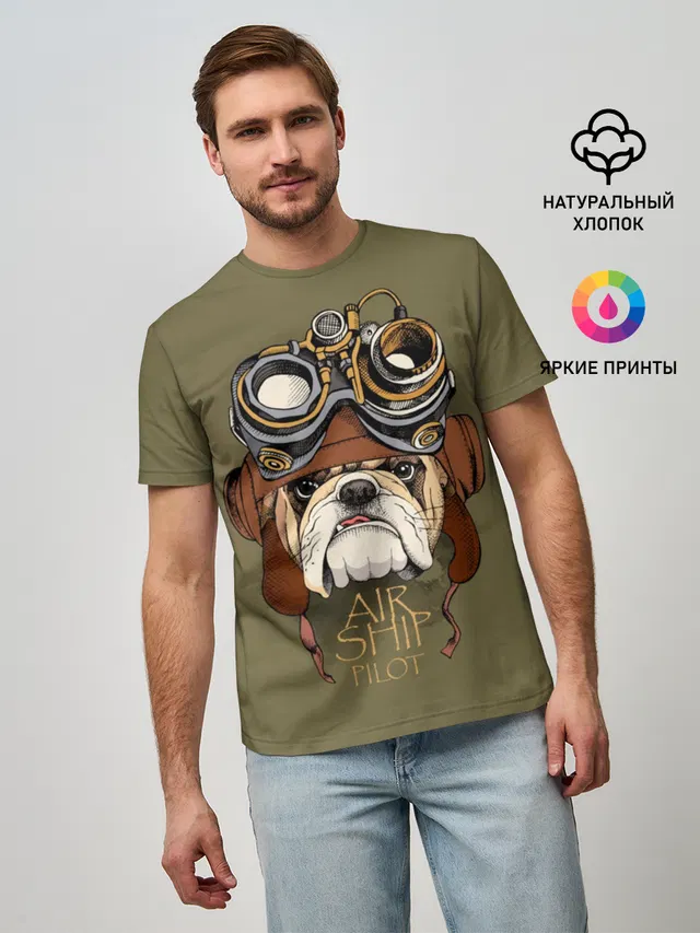 Air ship pilot