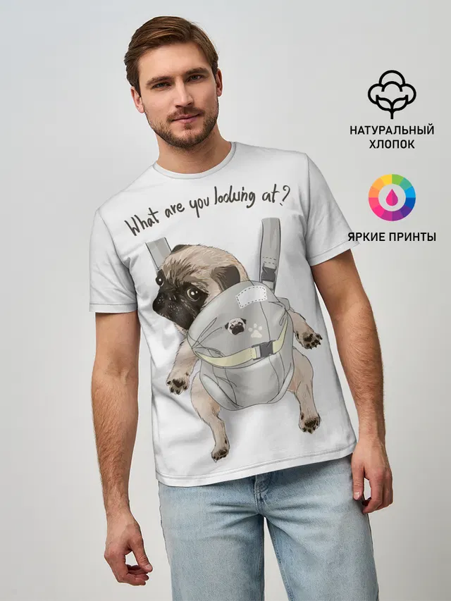 Мопс в рюкзаке