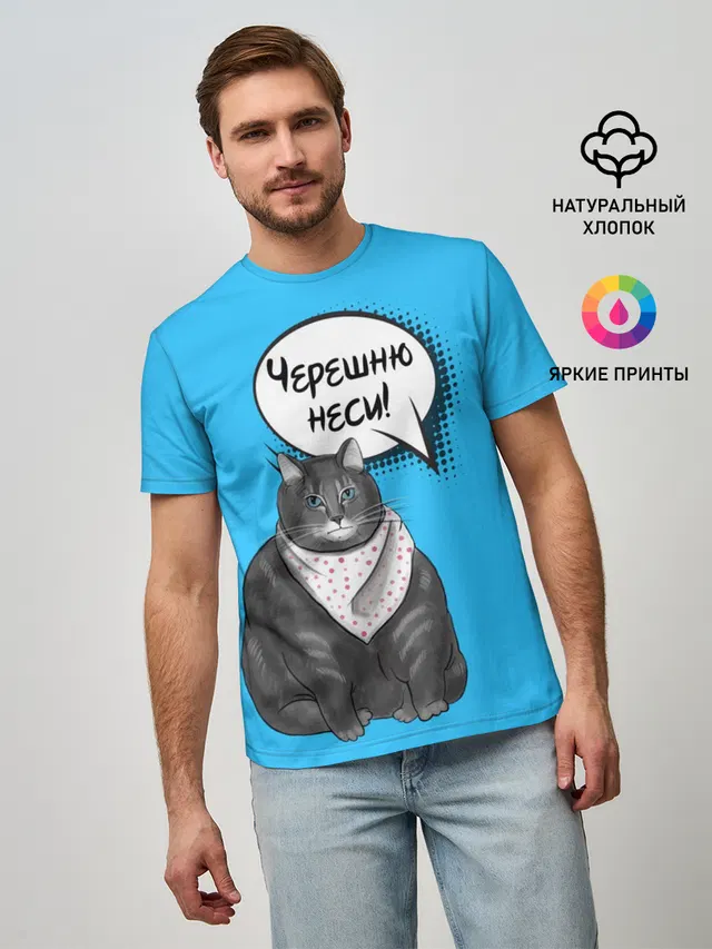 Толстый кот