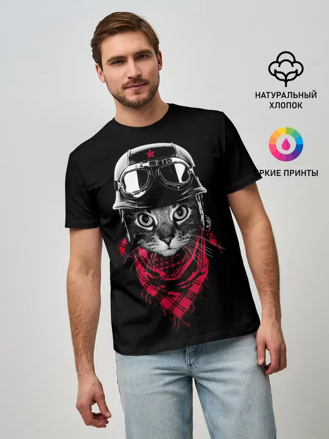 Кот Пилот