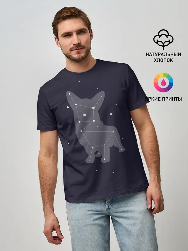 Корги