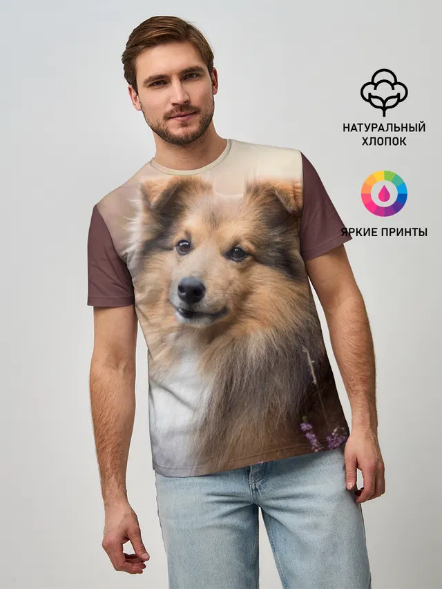 Шелти