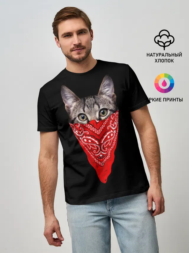 Gangsta Cat