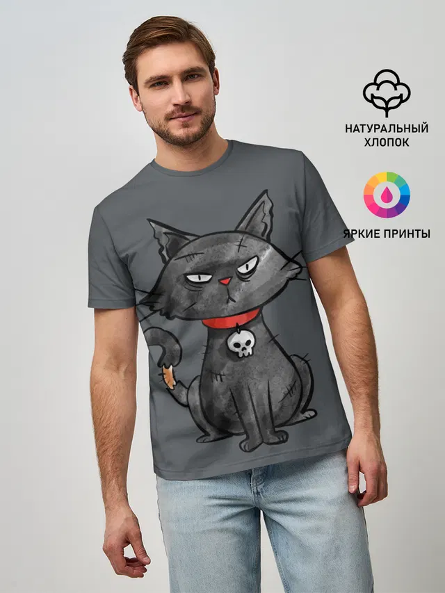 Кот бедолага