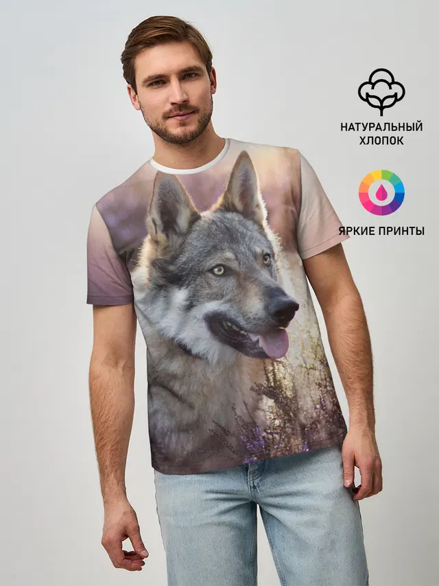 Волк