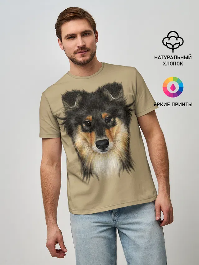 Sheltie