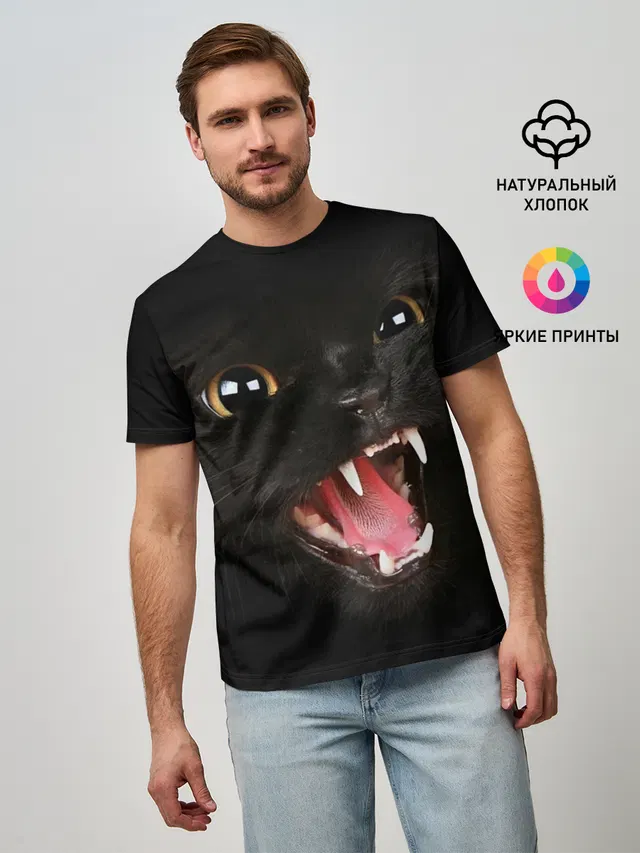 Черный кот