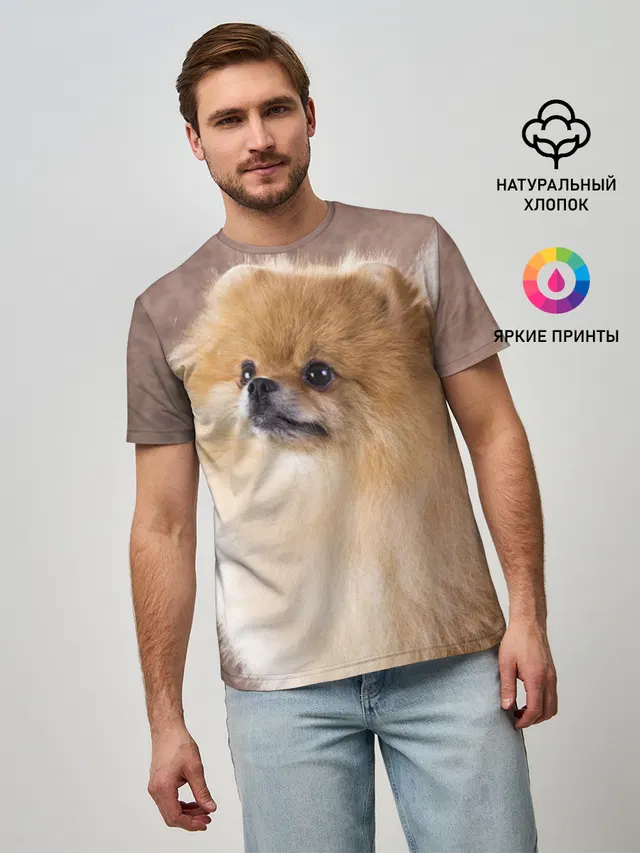 Шпитс