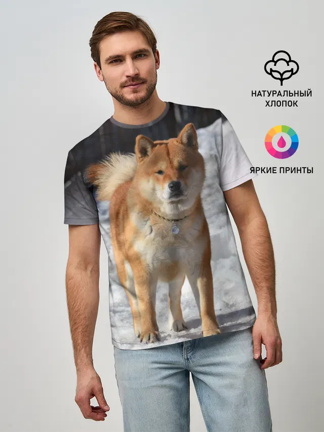 Акита-ину