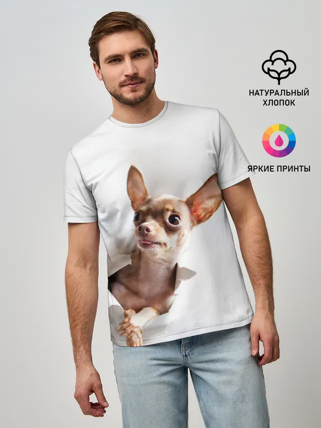 Чихуахуа из бумаги вылазит