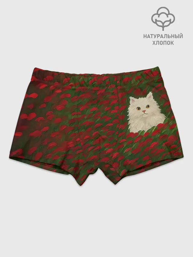 Трусы для мальчика хлопковые с принтом «CatRedGreen53637»