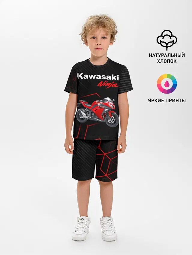 KAWASAKI NINJA / КАВАСАКИ