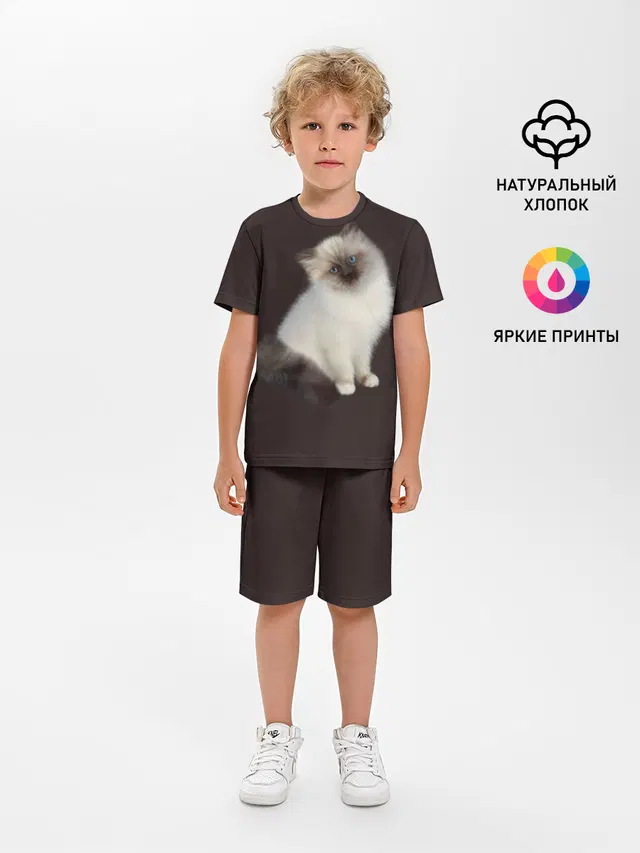 Котенок Ми