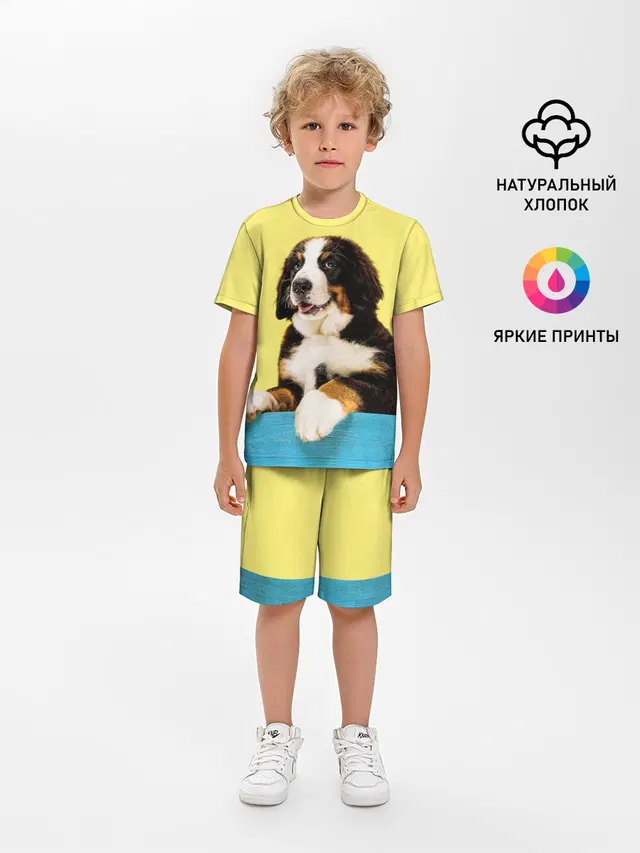 Бернский зенненхунд, Berner Sennenhund