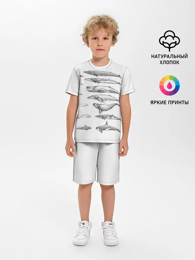 киты графика