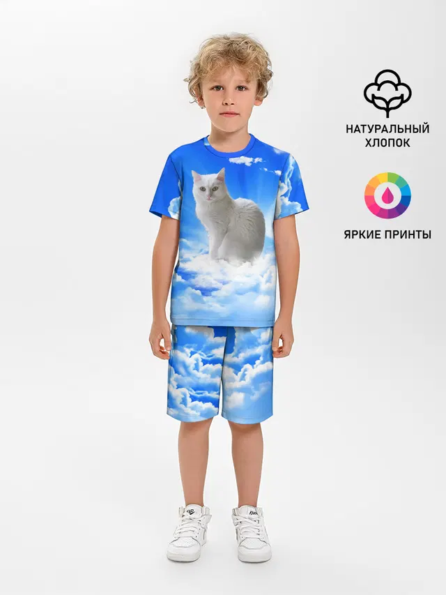 Кот в облаках