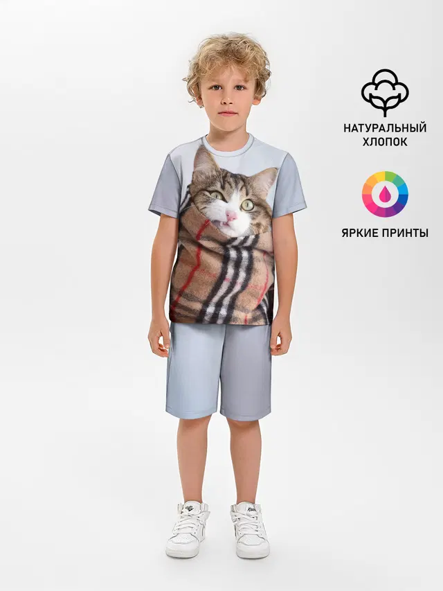 Кот в шарфе