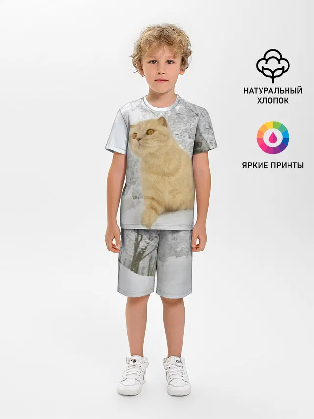 Кот и снег