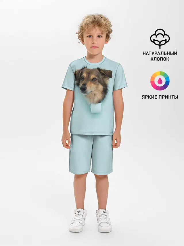 Беспородная Собака дворняга / A Dog