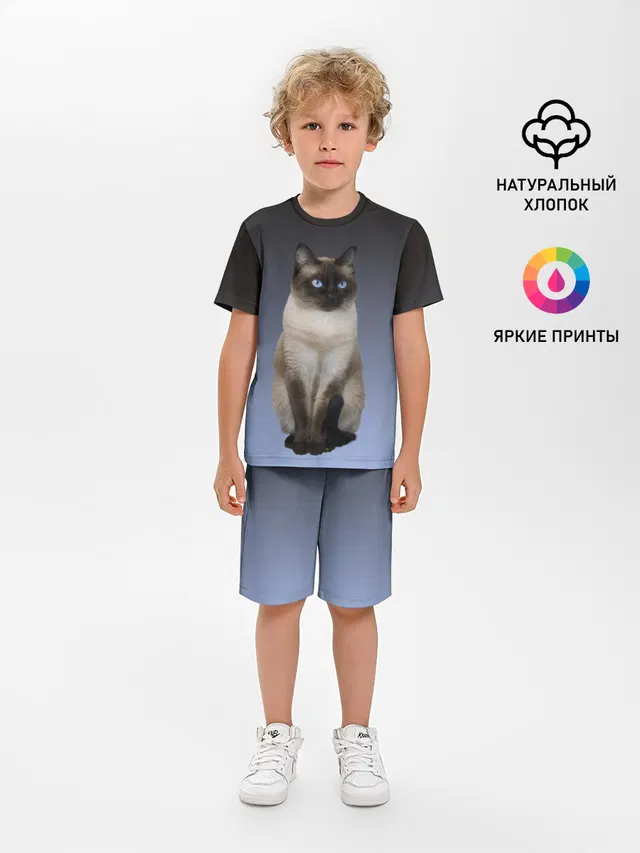 сиамская милая кошечка