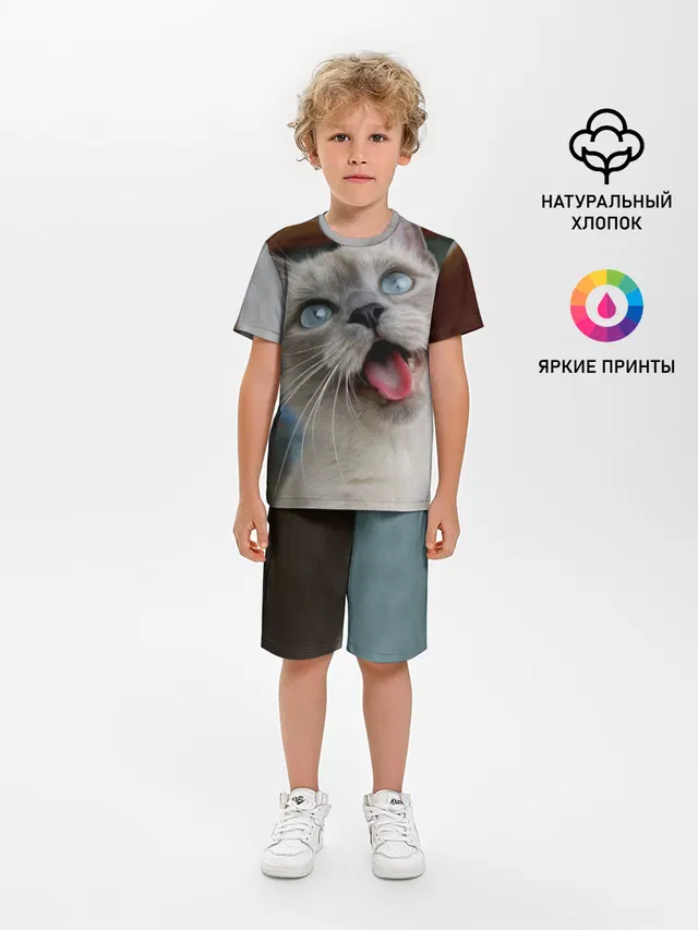 Сиамский котенок