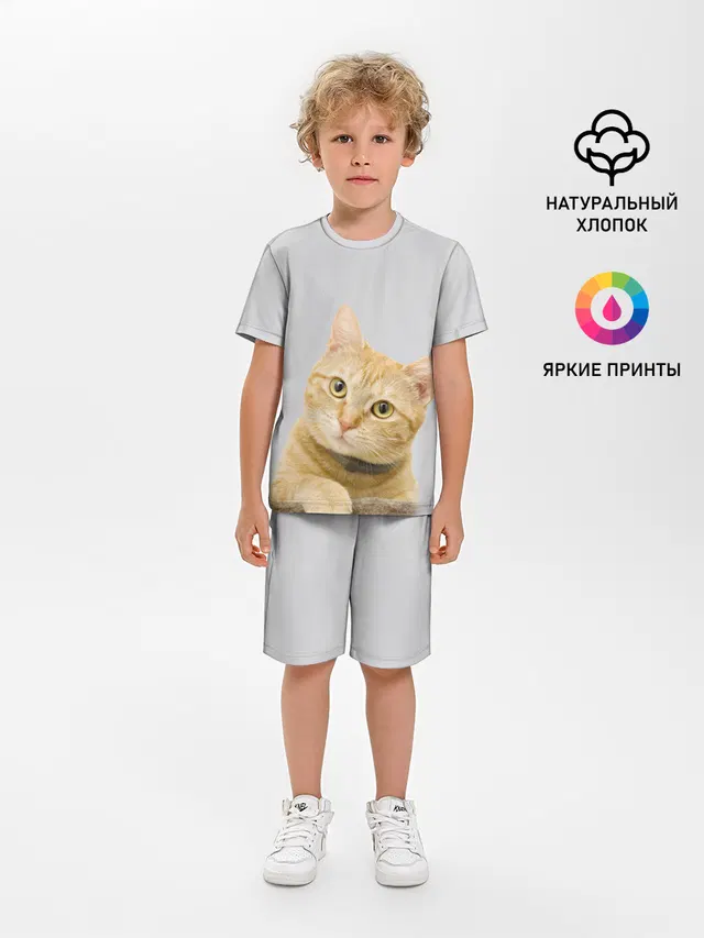 Рыжий котик