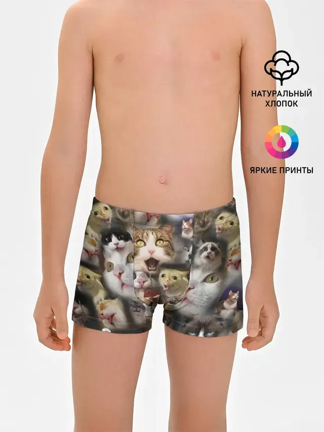 Те самые коты