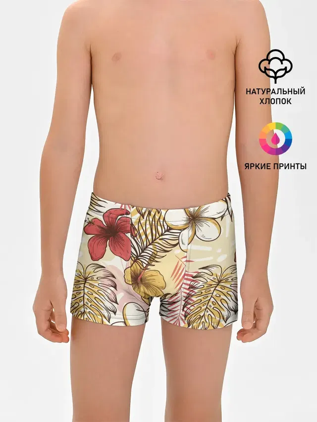 Тропики