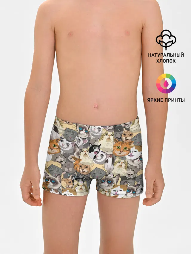 ALL CATS MEMES