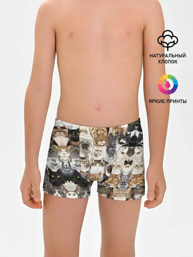 Котики смешные