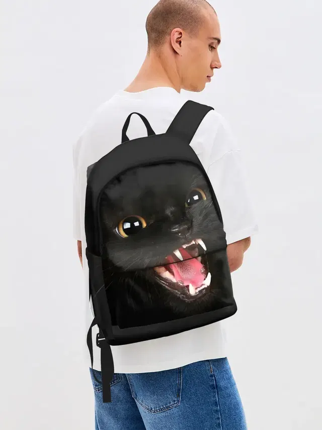 Черный кот