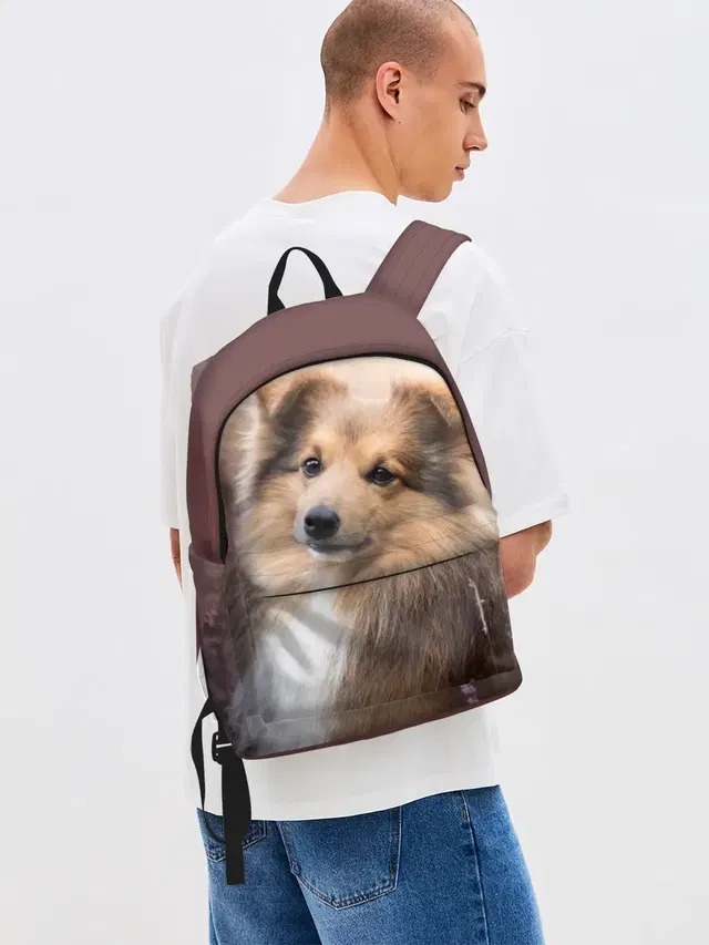 Шелти