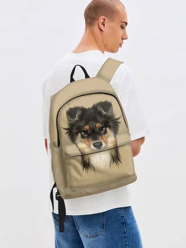 Sheltie