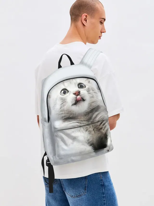 серый котенок