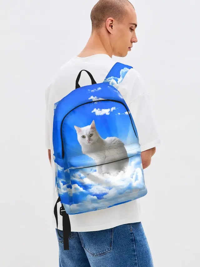 Кот в облаках