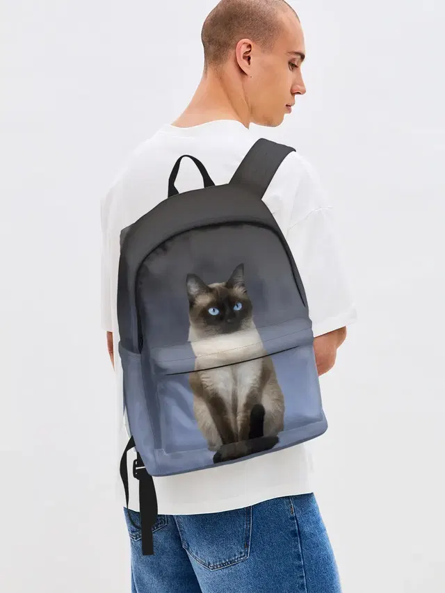сиамская милая кошечка