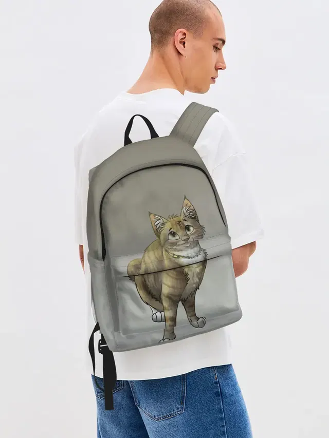 полосатый уличный кот