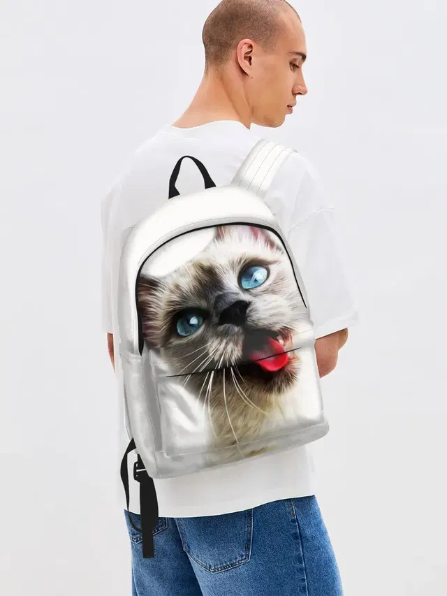 Котик