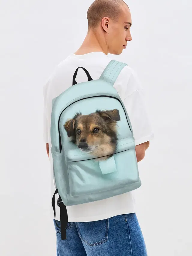 Беспородная Собака дворняга / A Dog