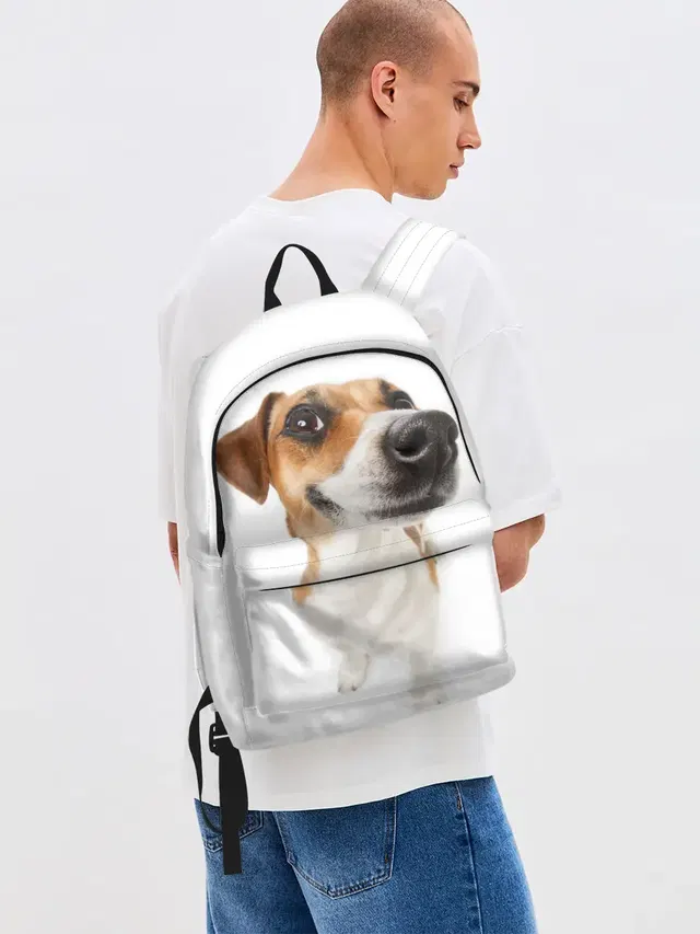 Собака