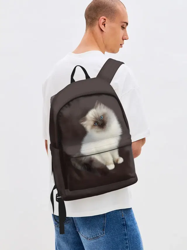 Котенок Ми