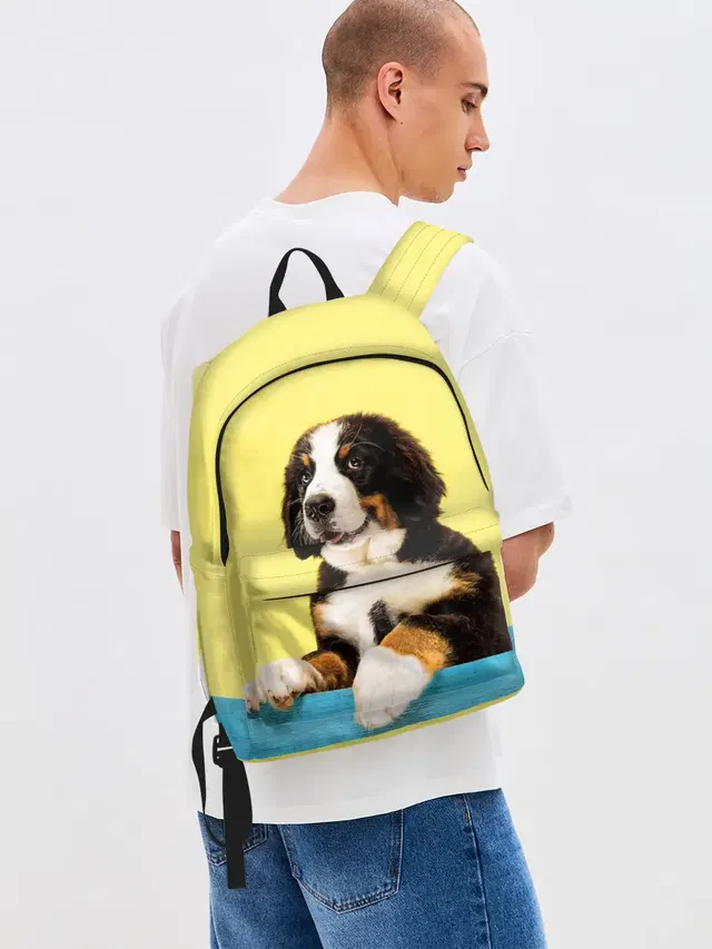 Бернский зенненхунд, Berner Sennenhund